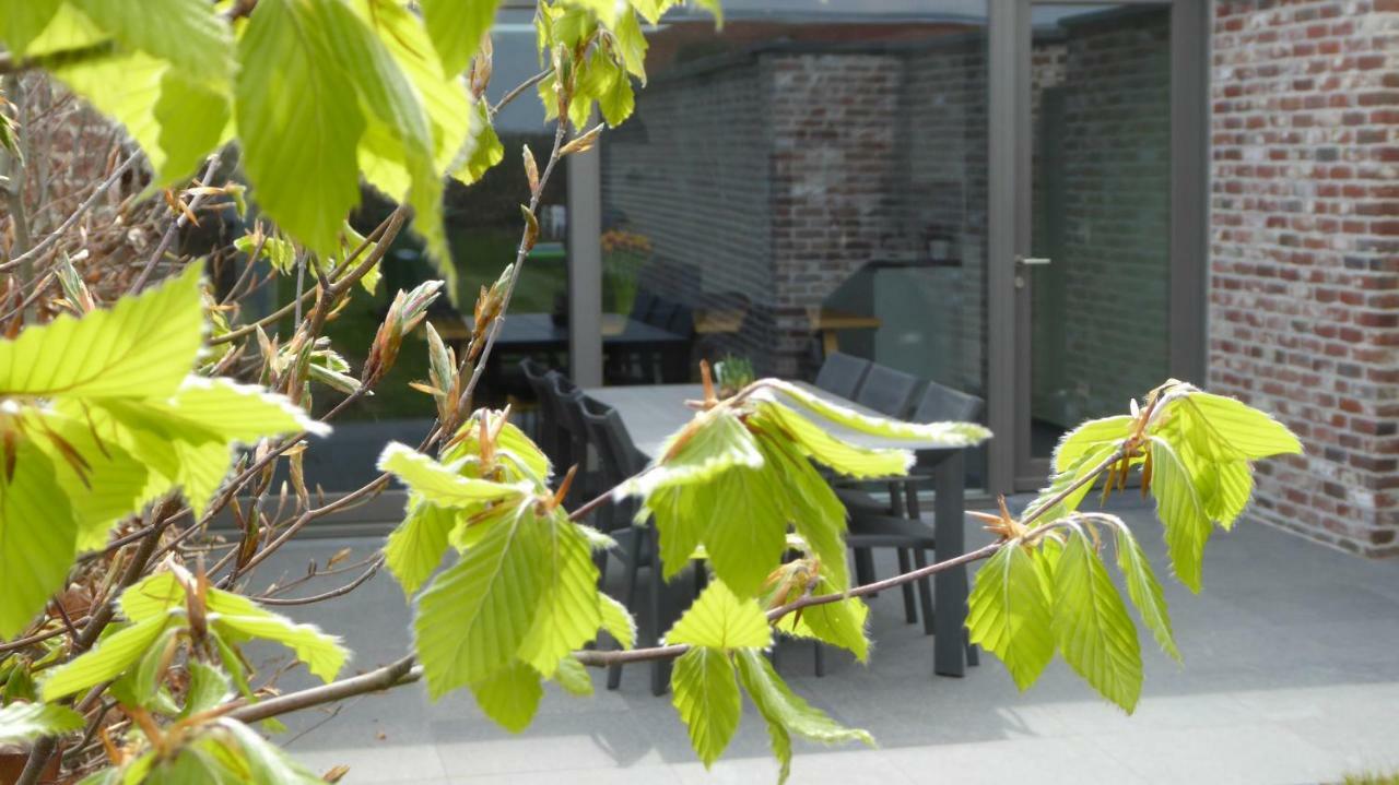 Camilles House Villa Wijtschate ภายนอก รูปภาพ